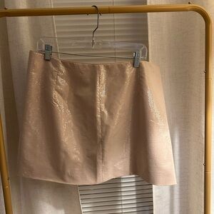 A New Day Shimmering Beige Mini Skirt